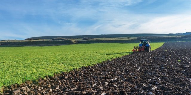 Die bäuerlichen Einkommen lassen sich mit der heutigen Subventionspolitik nicht verbessern. (Bild Fotolia)