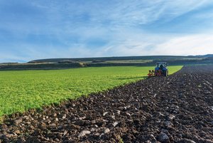 Berner Bauern brechen Tabu und hinterfragen Grenzschutz Die bäuerlichen Einkommen lassen sich mit der heutigen Subventionspolitik nicht verbessern. (Bild Fotolia)