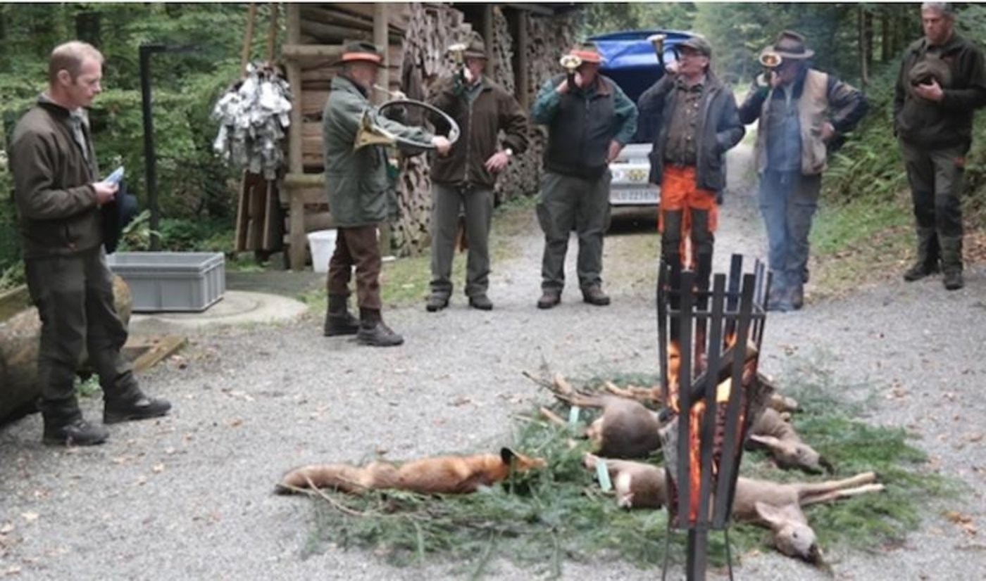 Die Züricher Bevölkerung hat sich klar für die Milizjagd ausgesprochen. Auf dem Bild Milizjäger im Kanton Luzern. (Bild Josef Kottmann)