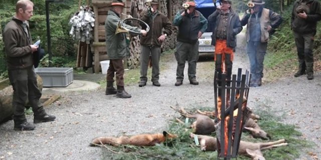 Die Züricher Bevölkerung hat sich klar für die Milizjagd ausgesprochen. Auf dem Bild Milizjäger im Kanton Luzern. (Bild Josef Kottmann)