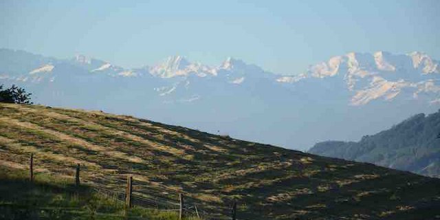 Der 15. Juni ist vorüber, im Tal wird gemäht. (Bild sb)