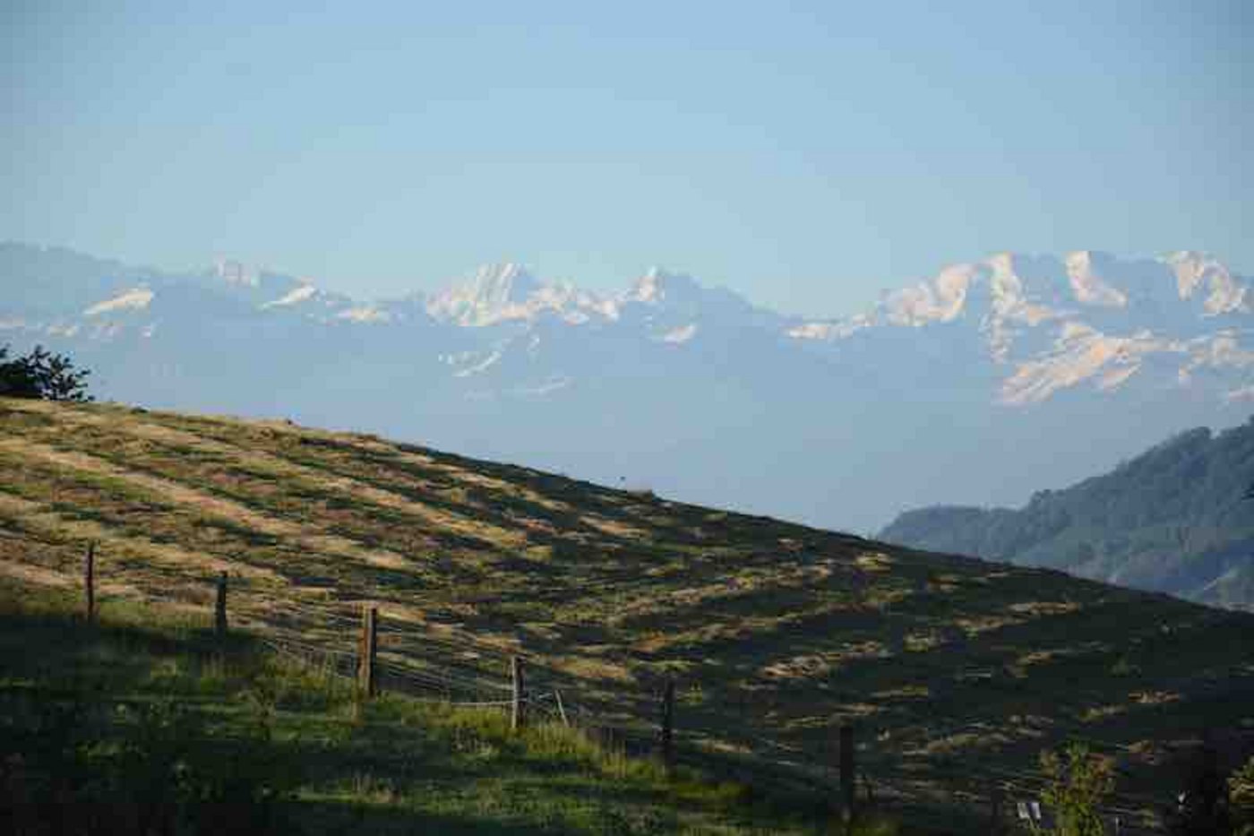Der 15. Juni ist vorüber, im Tal wird gemäht. (Bild sb)