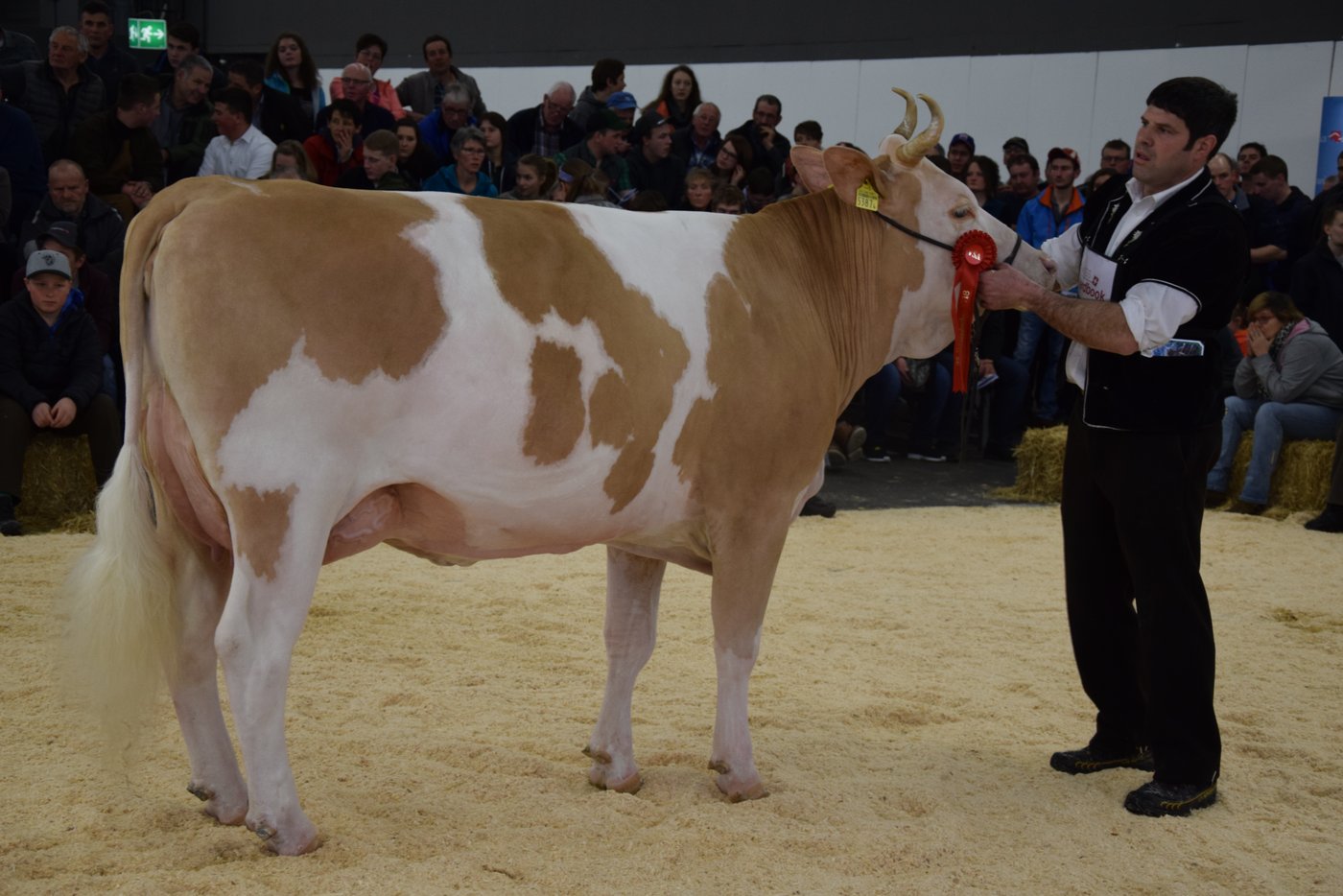 Simmentaler-Juniorchampion: Fabbio Azalea, Ueli Schärz, Aeschi b. Spiez.
