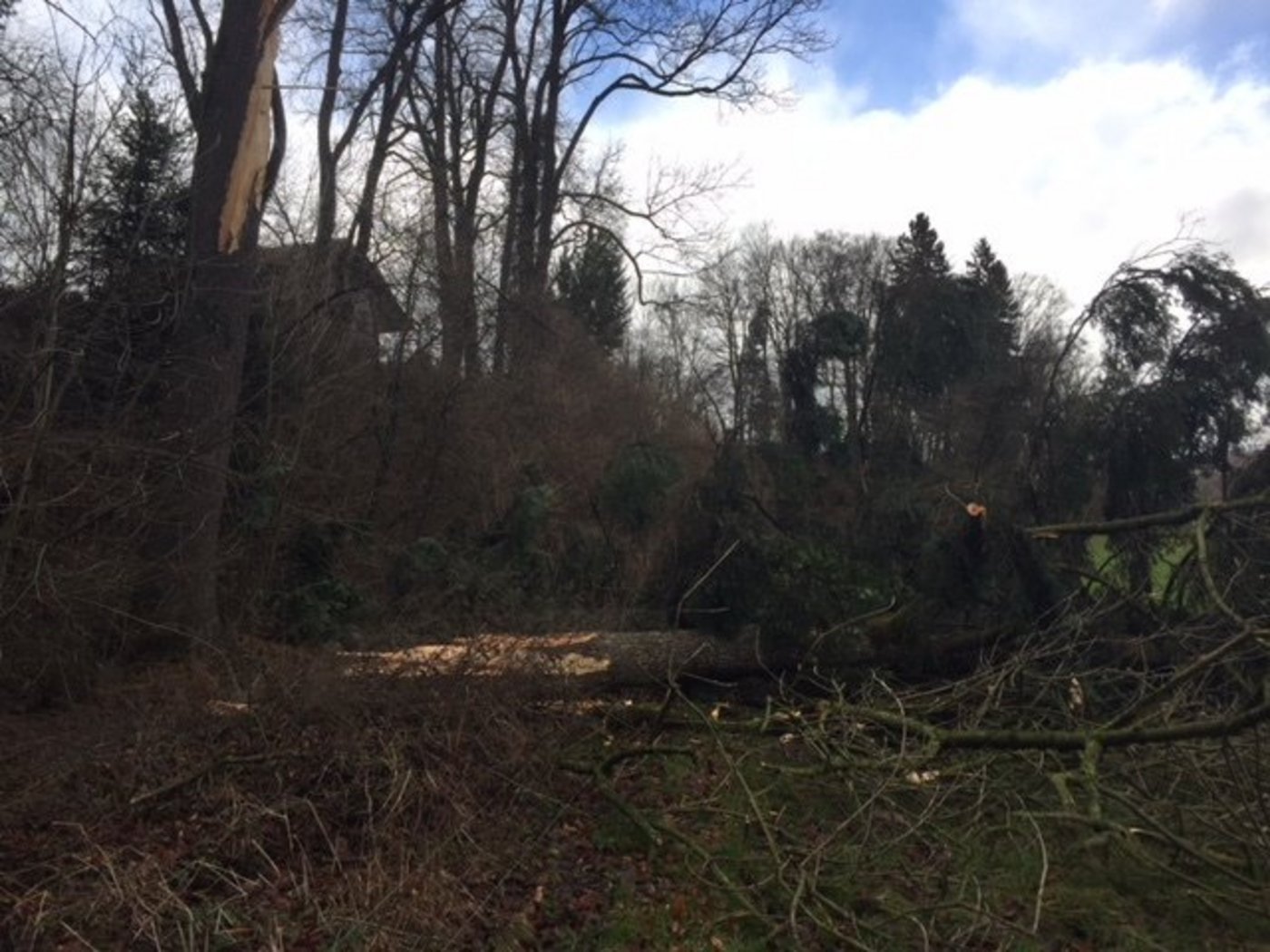 Schäden in einem Bauerngarten in Suberg BE. (Bild Twitter/Ruedi Baumann)
