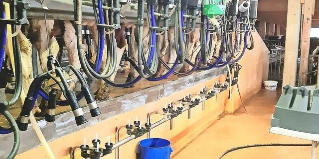 Die regelmässige Wartung der Melkmaschine ist wichtig, um Störungen zu vermeiden.