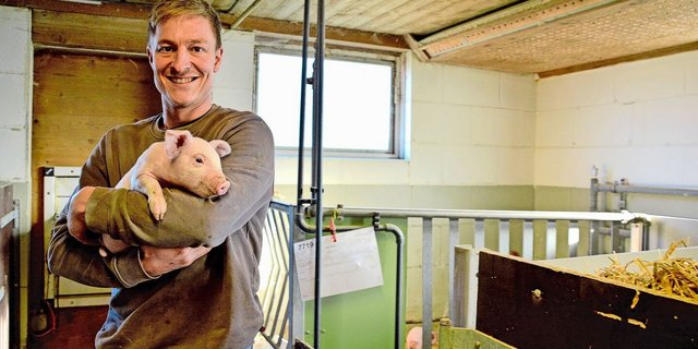 Auf Schweine spezialisiert: Michael Hunkeler in einem der Abferkelzimmer auf seinem Betrieb im luzernischen Altishofen.