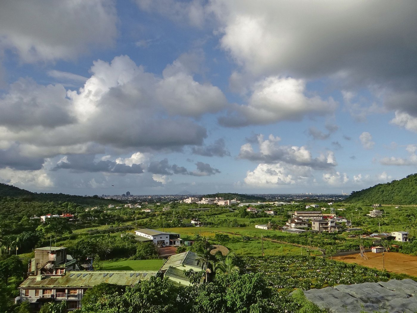 Im idyllischen Landkreis Yilan an der Ostküste Taiwans trifft man nicht selten auf Drachenfruchtplantagen, Reis- und Grünteefelder. (Bild Anna Waser)