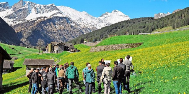 «Im Futterbau hat es noch Potenzial», sagte die Pflanzenbau-Beraterin Rut Janett vom Plantahof. Ziel ist es, das Beste aus dem Grundfutter für die Milchproduktion herauszuholen.