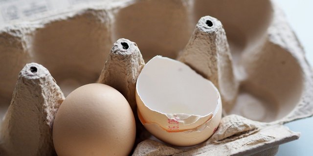 Männliche Henne-&-Hahn-Küken werden laut Aldi mit Bio-Futter sowie Zugang zu Weide und Sandbad aufgezogen. (Bild flockine/Pixabay)