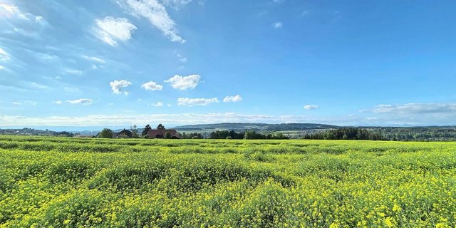 Zwischendurch hat sich das Maiwetter von seiner schönen Seite gezeigt. Viele hätten wohl gerne etwas mehr hiervon.