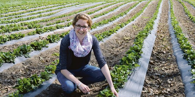 «Es ist eine besondere Herausforderung, in der Erdbeersaison alle Arbeiten unter einen Hut zu bringen», meint Sandra Keller-Hasler. Sie organisiert Erntehelfer, sorgt für Nachschub in den Selbstbedienungs-Kühlschränken, richtet Bestellungen und vieles mehr.(Bild is)