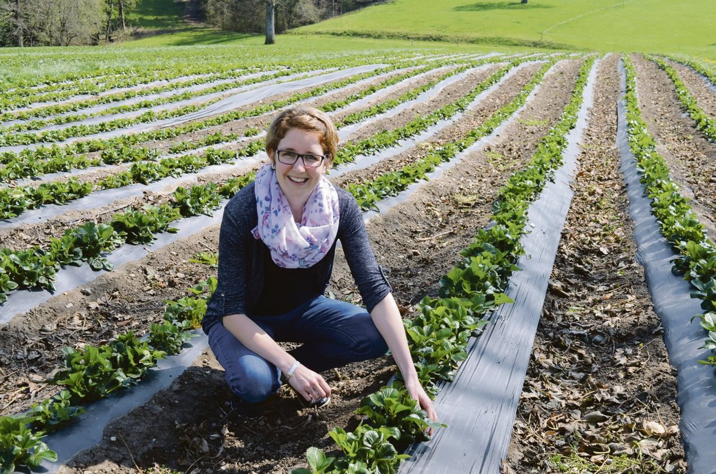 «Es ist eine besondere Herausforderung, in der Erdbeersaison alle Arbeiten unter einen Hut zu bringen», meint Sandra Keller-Hasler. Sie organisiert Erntehelfer, sorgt für Nachschub in den Selbstbedienungs-Kühlschränken, richtet Bestellungen und vieles mehr.(Bild is)
