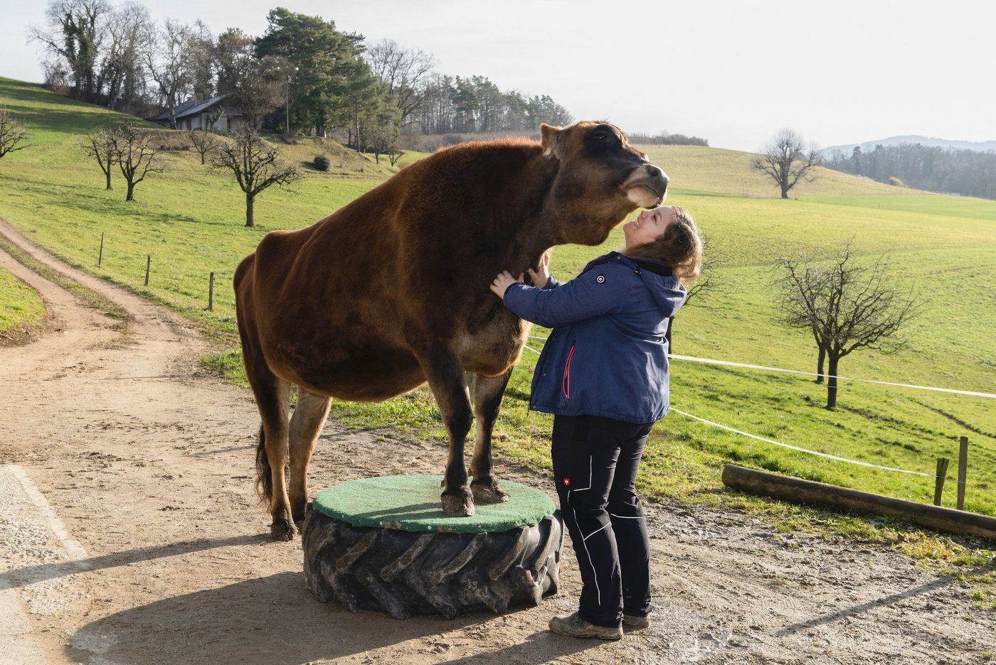 Tierärztin Sibylle Zwygart und Kuschelkuh Svea. (Fotos: Miriam Kolmann)
