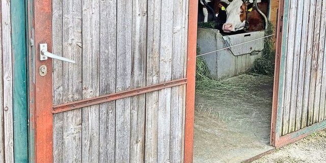 Stallungen dürfen in Abwesenheit des Tierhalters nicht ohne Weiteres betreten und kontrolliert werden.