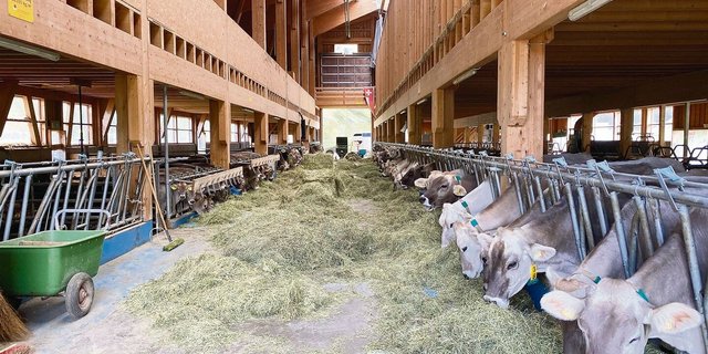 Gerade bei Betrieben mit hohen Leistungen und einer hohen Anzahl Tiere kann es sinnvoll sein, mehrmals jährlich das Raufutter zu überprüfen.