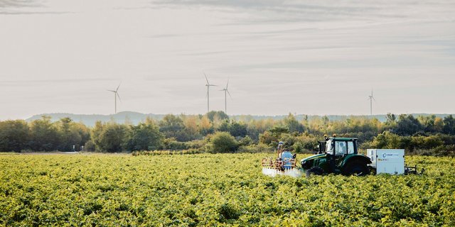 Die Crop-Zone-Technologie bei der Sikkation (Abbrennen) von Kartoffelstauden. Vorne werden die Pflanzen mit einer leichten Salzlösung benetzt und hinten wird die Niederspannung von einem Generator auf die Pflanzen übertragen. (Bild Crop-Zone)