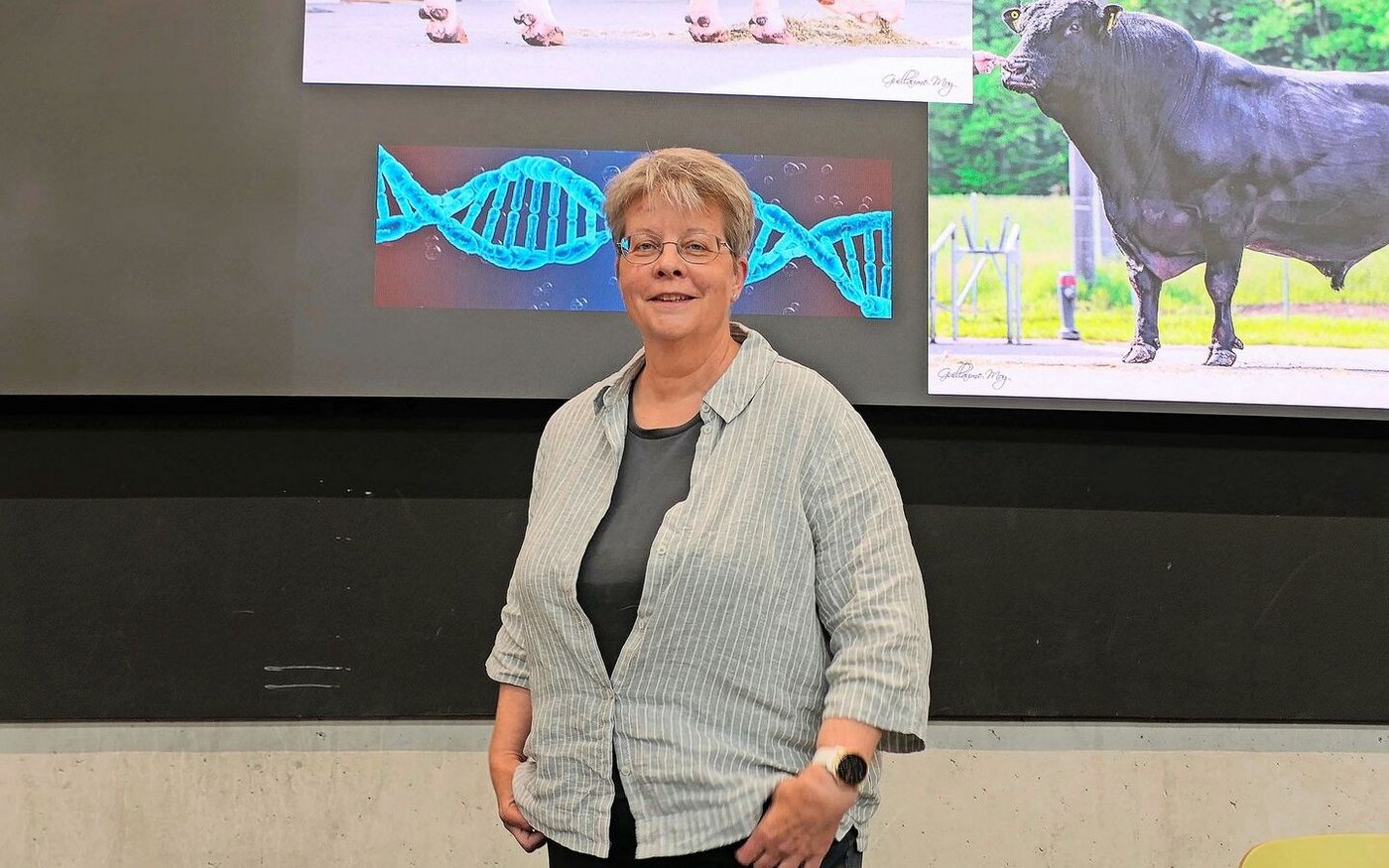 Silvia Wegmann von Swissgenetics  stellte am Strickhof-Beef-Tag das Zuchtprogramm für Beef on Dairy vor.