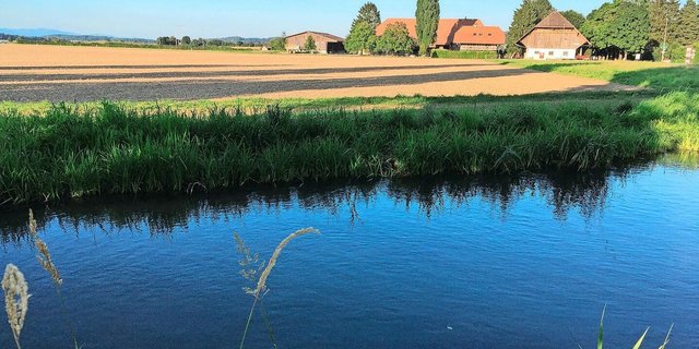 Der Aktionsplan Pflanzenschutzmittel des Bundes zeigt Wirkung, das Risiko einer Belastung konnte insbesondere für das Grundwasser deutlich gesenkt werden.
