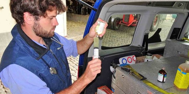 Tierärzte und Tierhalter greifen bei Nutztieren weniger zu Antibiotika als auch schon. (Bild lid)