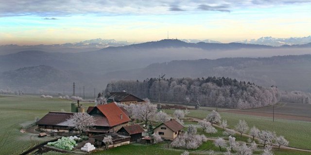 In letzter Zeit wurde mehrfach über Suizide in der Landwirtschaft berichtet. (Bild Dominique Andereggen/landwirtschaft.ch)