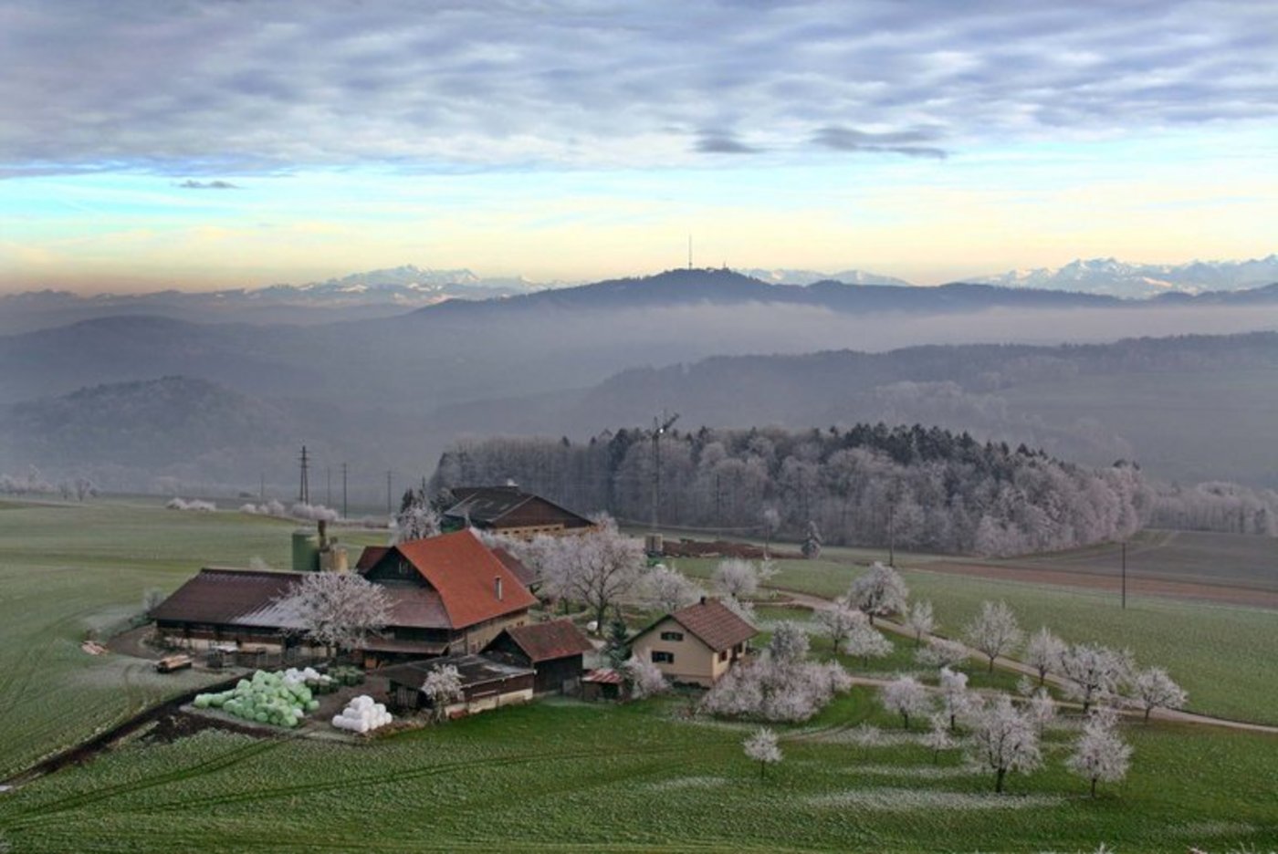 In letzter Zeit wurde mehrfach über Suizide in der Landwirtschaft berichtet. (Bild Dominique Andereggen/landwirtschaft.ch)