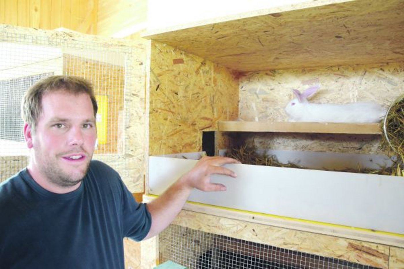 Gut eingerichtet in der Nische: Daniel Gosteli mit einem seiner Muttertiere, die er einzeln hält. Die Ställe mit angebautem Nest (siehe Durchgang am linken Rand) hat er selber gebaut. (Bilder akr)