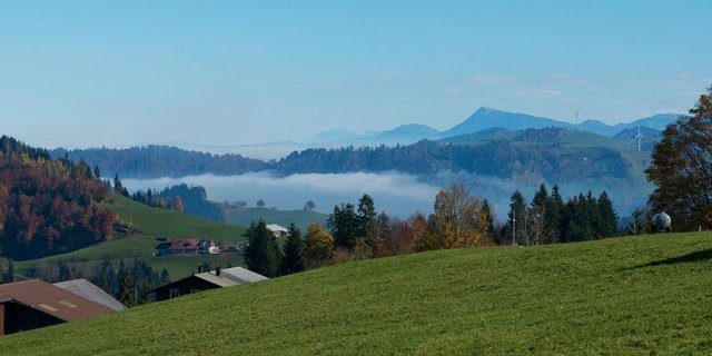 Welche Einflüsse prägen den Strukturwandel der Schweizer Landwirtschaft?