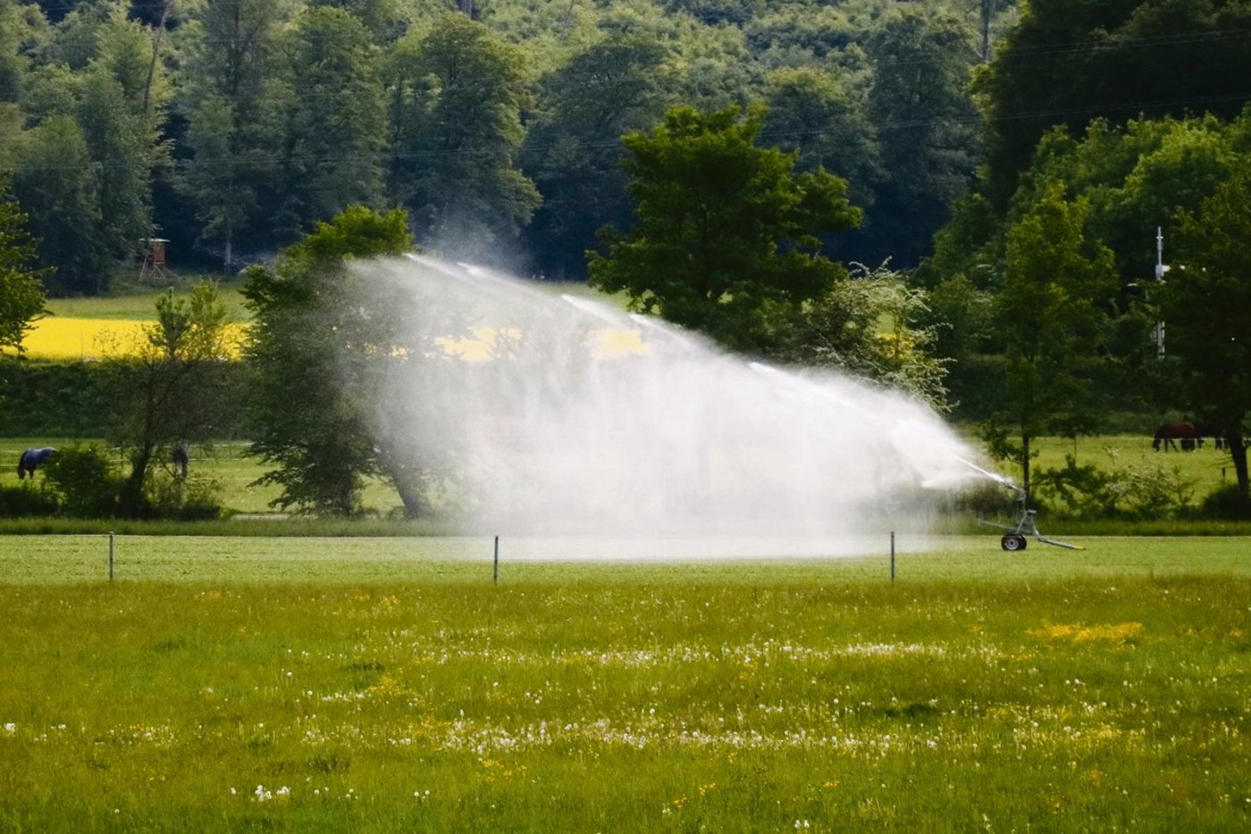 Eine App soll für Entscheidungshilfen für intelligente Bewässerung weiterentwickelt werden. (Symbolbild rae)