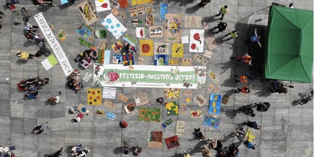 Bunt und vielfältig soll es sein: Die Organisation «Landwirtschaft mit Zukunft» setzt sich für eine alternative Landwirtschaft ein. (Bild Landwirtschaft mit Zukunft)