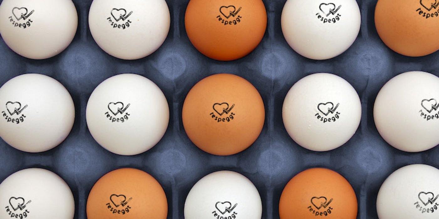Die Brüder der Hennen, die diese Eier gelegt haben, wurden gar nie ausgebrütet. Daher wurden sie auch nicht als Küken getötet. (Bild Migros)