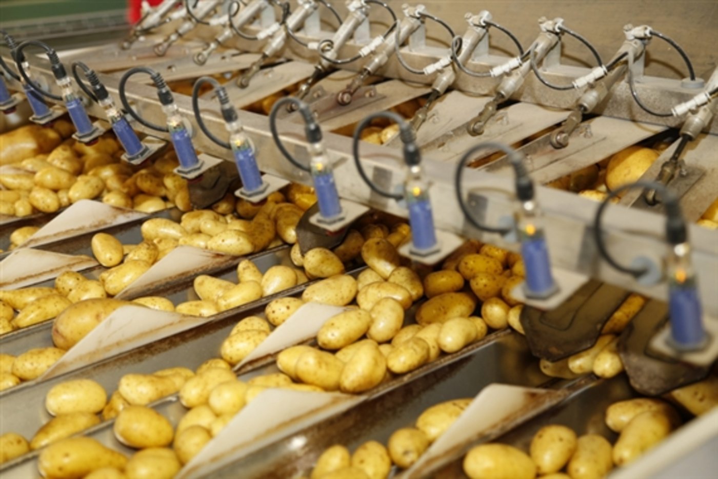 Die Schweizer Nahrungsmittel-Hersteller sind gegen Fair-Food und die Initiative für Ernährungssouveränität. (Symbolbild lid)