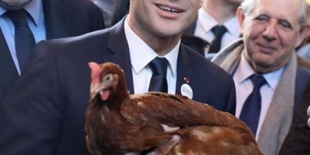 Der französische Präsident Emmanuel Macron mit seiner neuen Henne. (Bild Twitter)
