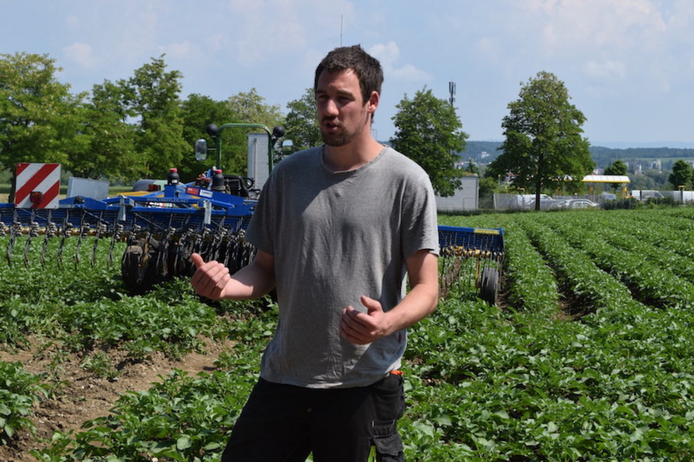 Marco Keller von der Aschmann GmbH empfiehlt für die Unkrautbekämpfung in den Kartoffeln ein Striegelgerät mit starken Zinken, wie jenes im Hintergrund. (Bilder Stefanie Giger)