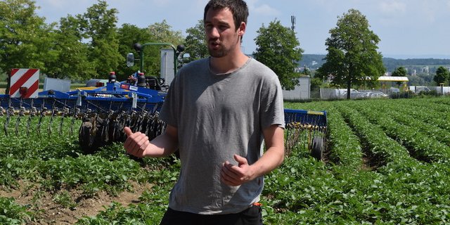 Marco Keller von der Aschmann GmbH empfiehlt für die Unkrautbekämpfung in den Kartoffeln ein Striegelgerät mit starken Zinken, wie jenes im Hintergrund. (Bilder Stefanie Giger)