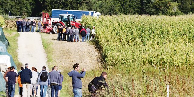 Viele Pflanzenbauer wollten wissen, wie die Kulturen bei Patrik Huber nach dem wüchsigen Sommer aussehen. (Bild Ruth Aerni)