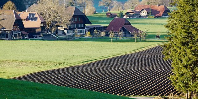 Kuh- oder Bergrechte, die nicht an das Talland gebunden sind, werden oftmals an nicht selbstbewirtschaftende Nachkommen weitervererbt. Sobald diese jedoch einem landwirtschaftlichen Gewerbe angehören, ist dies kaum oder gar nicht mehr möglich. 