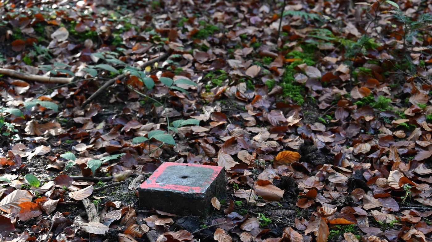 Ob und wann dieser Marchstein im Lysser Wald umgesetzt wird, ist noch ungewiss. Schuld ist die Pandemie. (Bild Andrea Wyss)