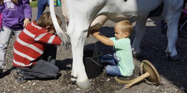 Der Liebegger Tag bietet der ganzen Familie Unterhaltung und Wissenswertes. (Bild: LZ Liebegg)
