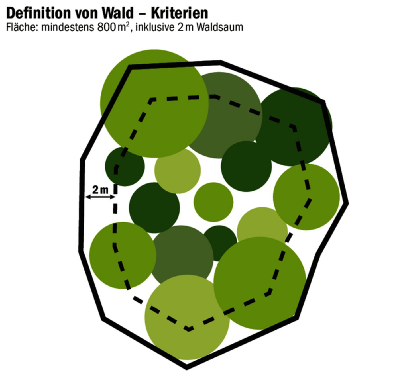 Flächenmässig muss der Wald mindestens 800 m2 aufweisen, damit dieser als Wald definiert wird. 