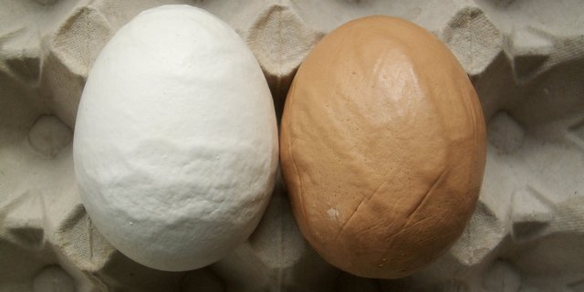 Der Erreger der Infektiösen Bronchitis (IB) ist ein Coronavirus. Eier von mit IB befallenen Hühnern sind laut Aviforum aber problemlos konsumierbar. (Bild Aviforum)