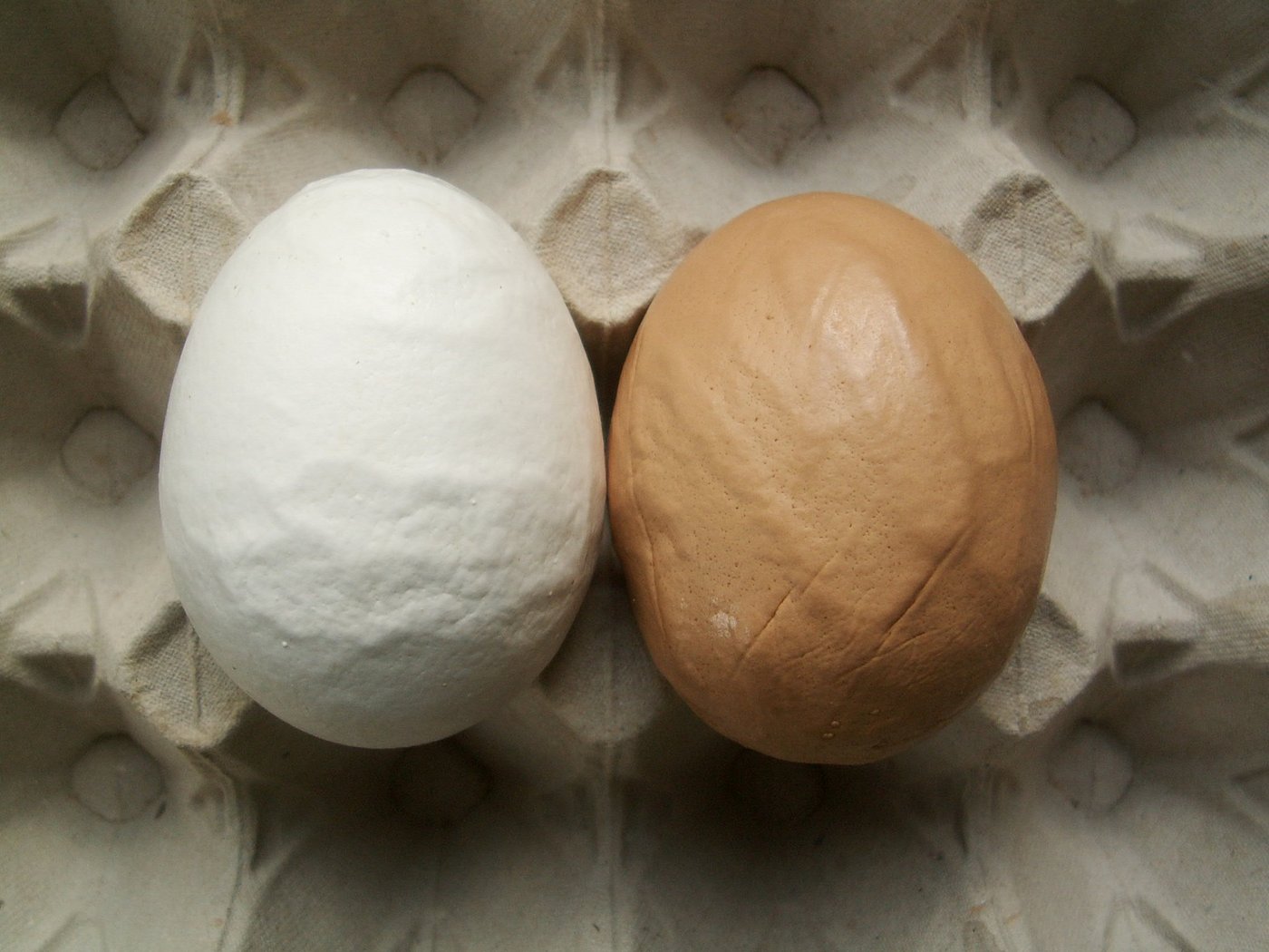 Der Erreger der Infektiösen Bronchitis (IB) ist ein Coronavirus. Eier von mit IB befallenen Hühnern sind laut Aviforum aber problemlos konsumierbar. (Bild Aviforum)