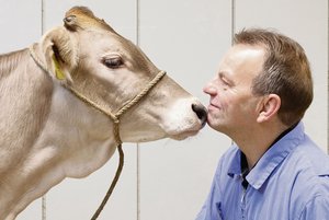 Dem Kälbergesundheitsdienst wird es trotz Zusammenschluss nicht langweilig Martin Kaske auf Du und Du mit einem Kalb. Der Geschäftsführer des KGD zeigte anlässlich der Delegiertenversammlung wieder einmal deutlich auf, wofür sein Herz schlägt: fürs Kalb. (Bild zVg)