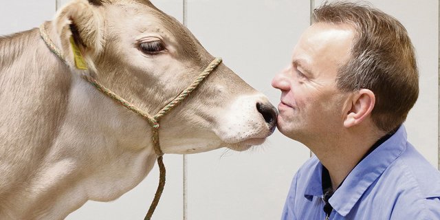Martin Kaske auf Du und Du mit einem Kalb. Der Geschäftsführer des KGD zeigte anlässlich der Delegiertenversammlung wieder einmal deutlich auf, wofür sein Herz schlägt: fürs Kalb. (Bild zVg)