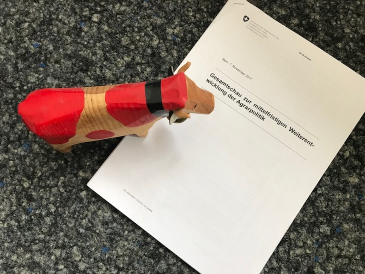 Nicht nur diese Kuh wundert sich über die Gesamtschau. (Bild akr)