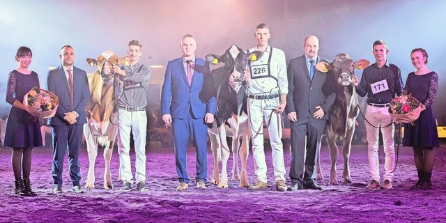Die drei Rassen-Siegertiere: Dina von Florian Portmann aus Escholzmatt, Roxane von Maxime Waeber, Billens, und Vegas von Laurin Schmid aus Schüpfheim (v. l.).