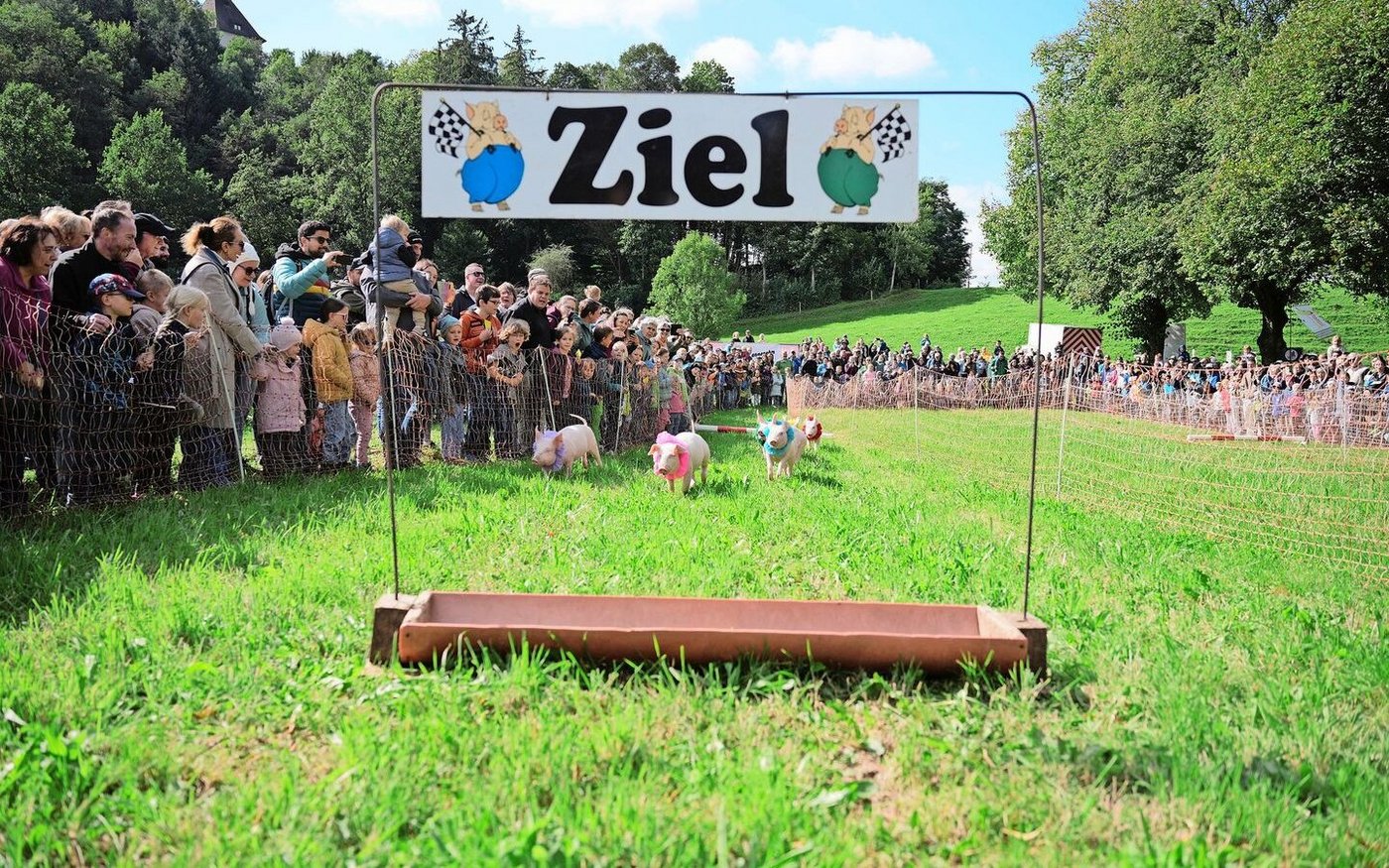 Säulirennen am Liebegger Tag: Gegen 5000 Besuchende kamen in Kontakt mit der Land- und Ernährungswirtschaft.