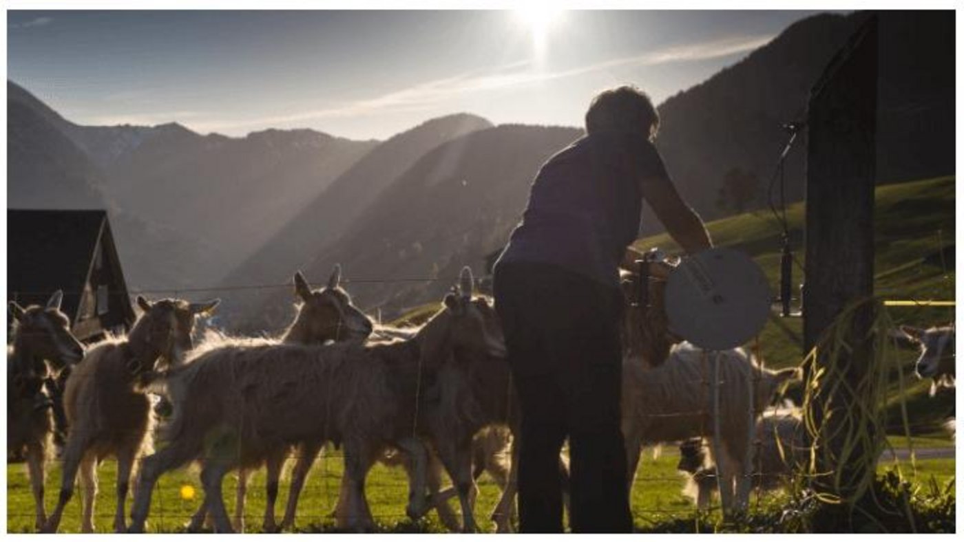 Mit der Strukturanpassung werde man der Realität gerecht. (Bild Schweizer Berghilfe)