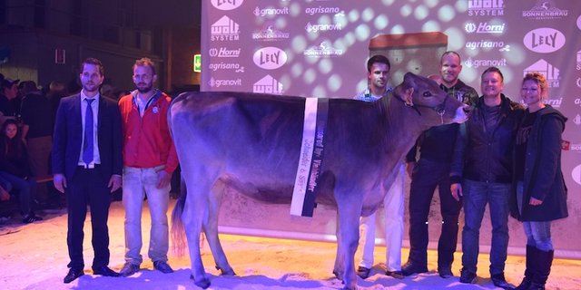 GoldHill Salomon Blexy ist die 18. Champion in Sargans. (Bilder Stefanie Giger)