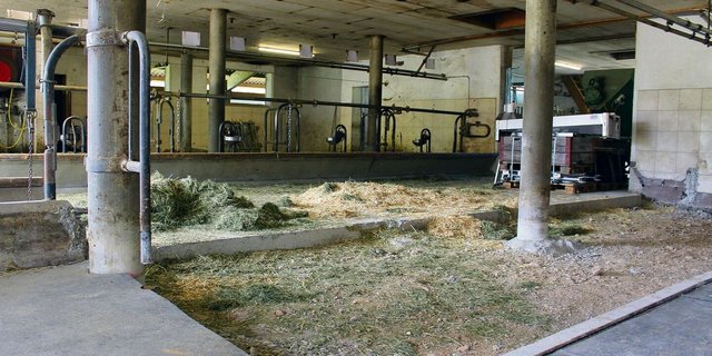 In diesem Stall übten die Zivilschützer den Umgang mit schweren Abbruchgeräten und genau dort hat der Landwirt mit den Verantwortlichen den Ablauf des Kurses festgelegt.