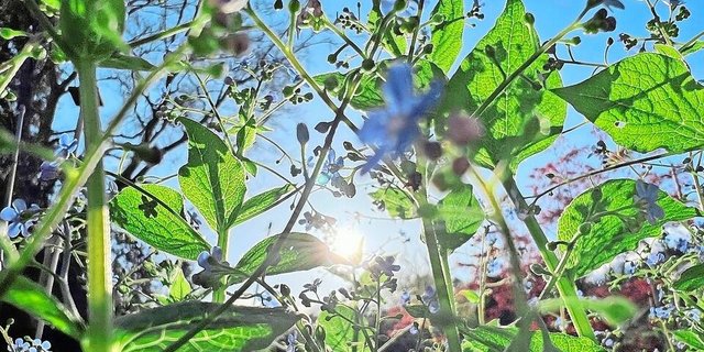 Beim Fotografieren darf man auch Unkonventionelles wagen, um eine Stimmung wiederzugeben, wie etwa Bilder im Gegenlicht und mit unscharfen Bereichen.